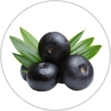 Acai Oil*** Acai Oil***