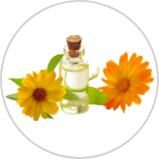 Calendula Extract Calendula Extract