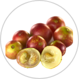 Camu Camu*** Camu Camu***