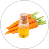 Carrot Oil**