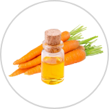 Carrot Oil** Carrot Oil**
