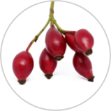 Rosehip Oil** Rosehip Oil**