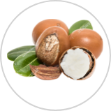 Shea Butter Shea Butter