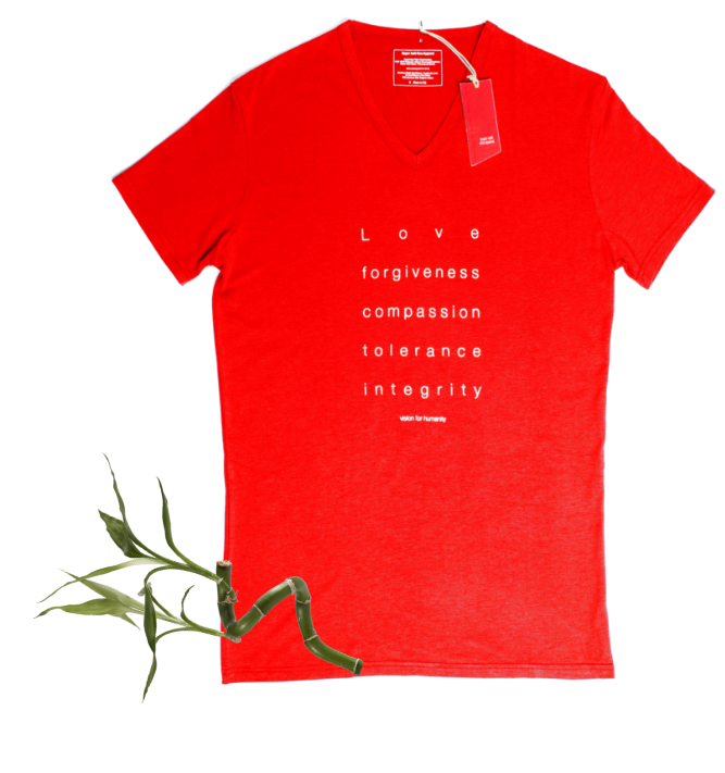Men's Bamboo V Neck T-Shirt (S/S Print)