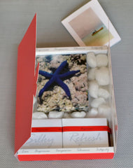 Premier Soap and Card Window Pack