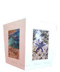 Nature's Treasures card series