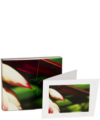 Living Moments card series