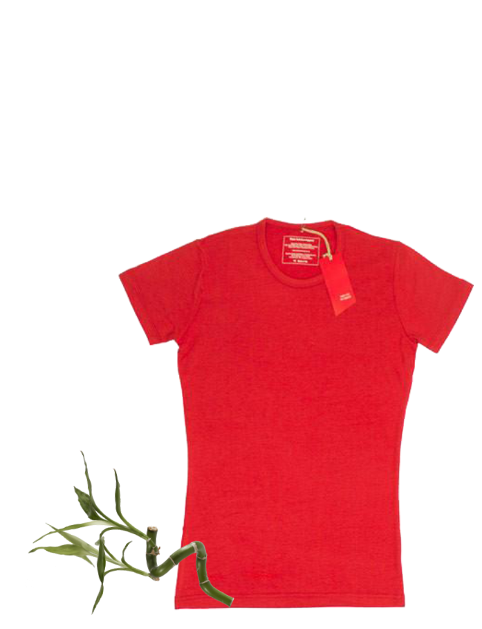 Women's Bamboo T-Shirt (S/S Emb)
