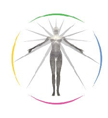 Meta Wheel Logo